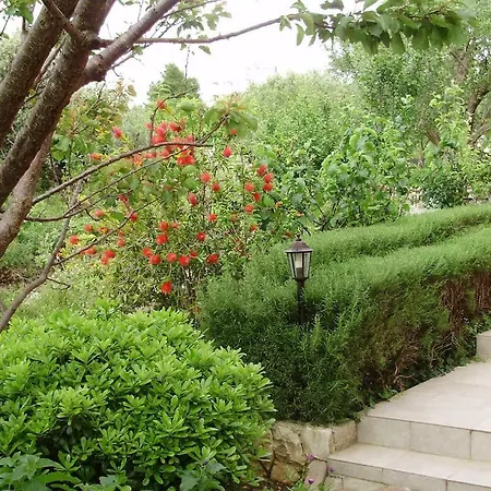 Vujic- Dolac Appartement Trogir